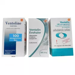 Вентолин аэрозоль ЕВРОПА для ингал. 100 мкг/доза 200 доз в Москве и области фото